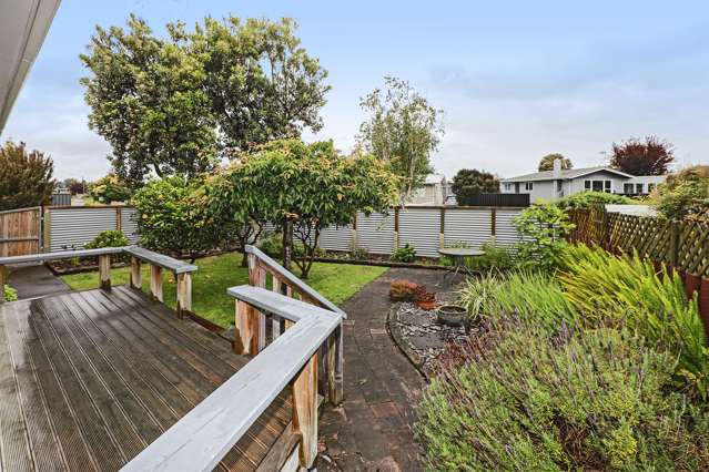 32 Plunket Street Tamatea_2