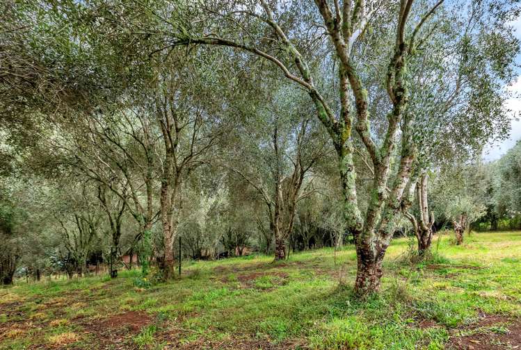 55 Lauries Drive Kauri_31