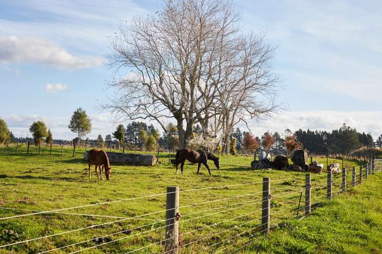 1528a Pyes Pa Road Oropi_24