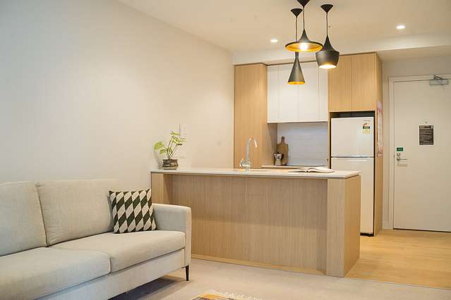 222/43 Edwin Street Mount Eden_1