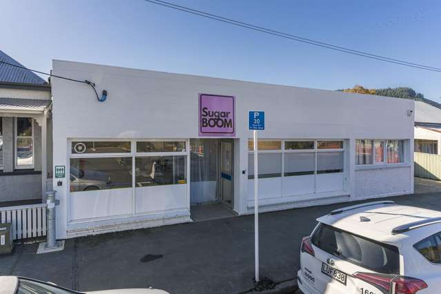 179 Albany Street North Dunedin_1