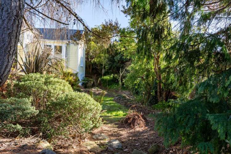 35 Carson Street Mornington_7