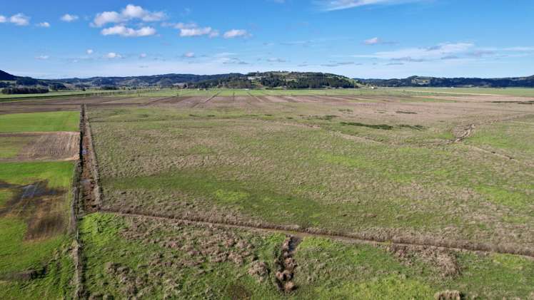 224 Rushbrook Road Ruatangata_4