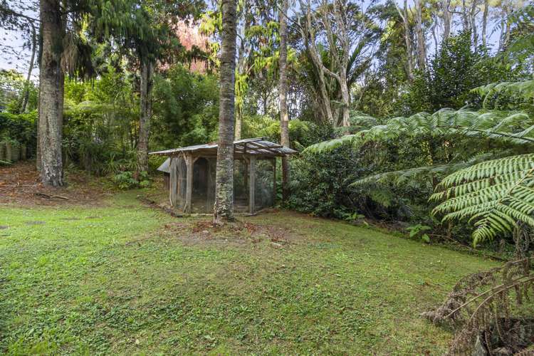196 Godley Road_4
