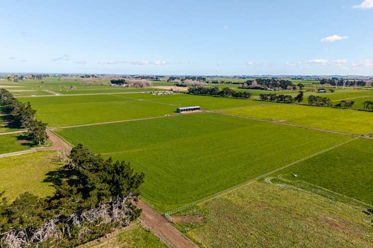 1040 Roberts Line Bunnythorpe_10