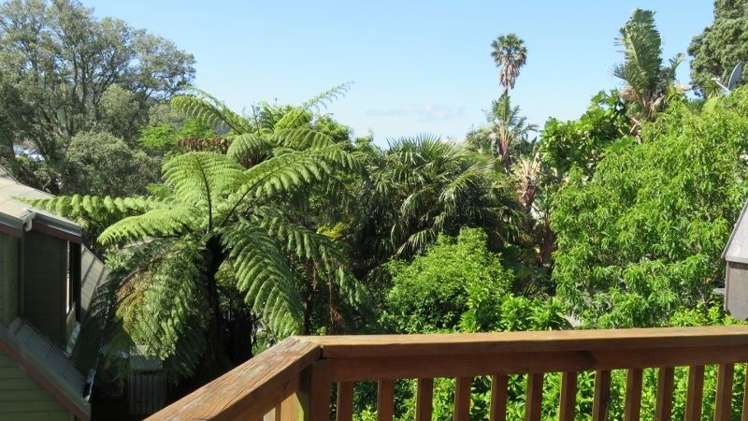 318a Onemana Drive Onemana_14