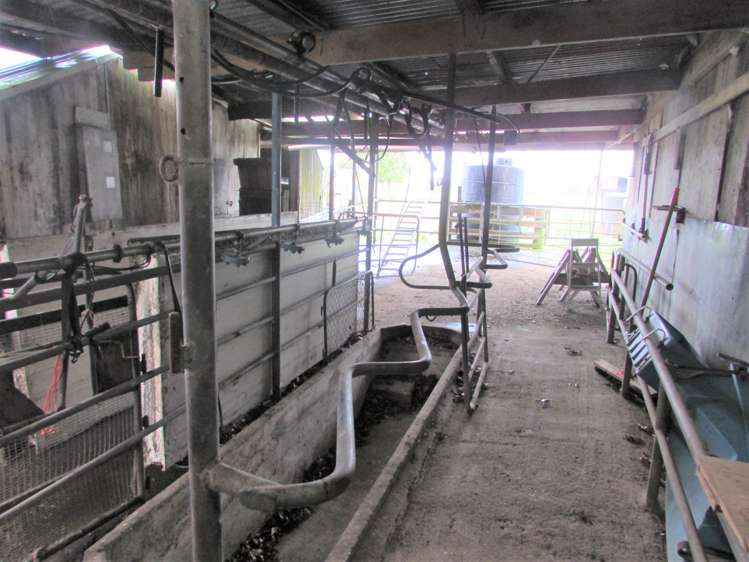 1162 Te Aroha-Gordon Road Manawaru_18