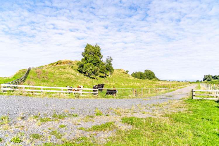 00 Tararua Drive_5
