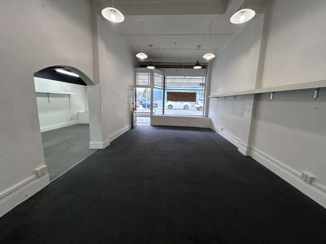 492 George Street Dunedin Central_4