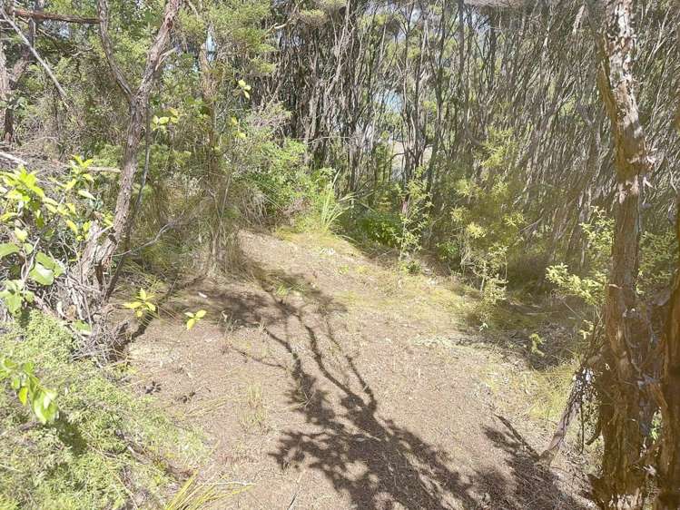 665 & 667 Whangaparapara Road Great Barrier Island_8