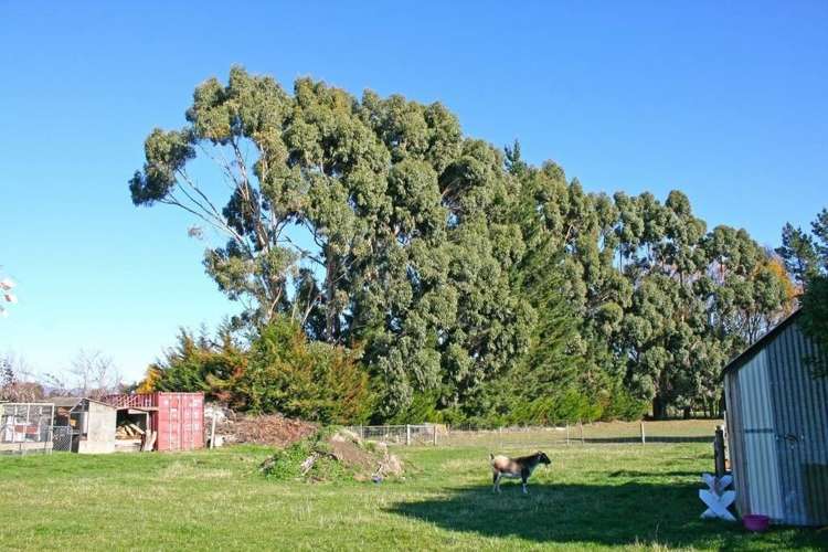 62a Ferry Road Spring Creek_14