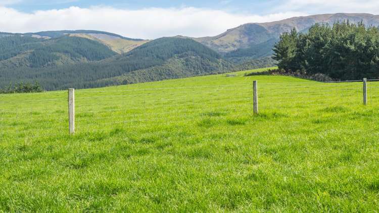 Quarry Road Loburn_8