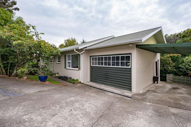 61 Torlesse Street Enner Glynn_2