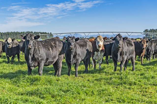 675 Rakaia Terrace Road Te Pirita_1