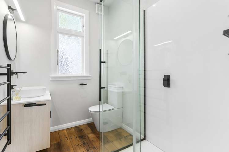 9 Hoggard Street Vogeltown_9