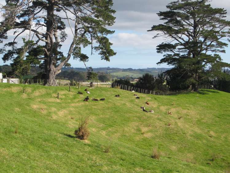 339 Stoney Creek Road Kaukapakapa_19