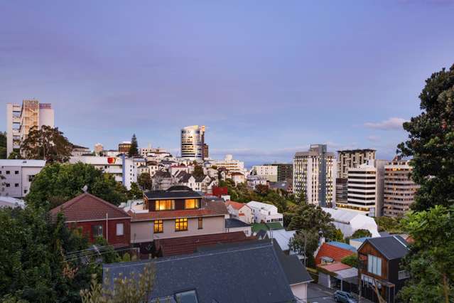 348 The Terrace Te Aro_1