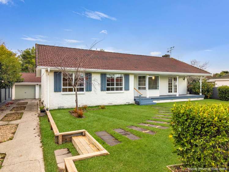 32 Mcmeekan Avenue Chartwell_29