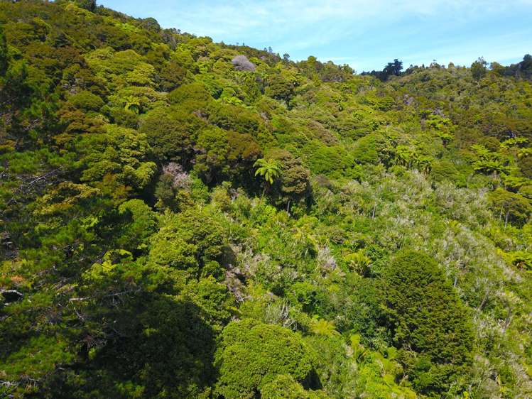 Te Karoa Road Peria_15