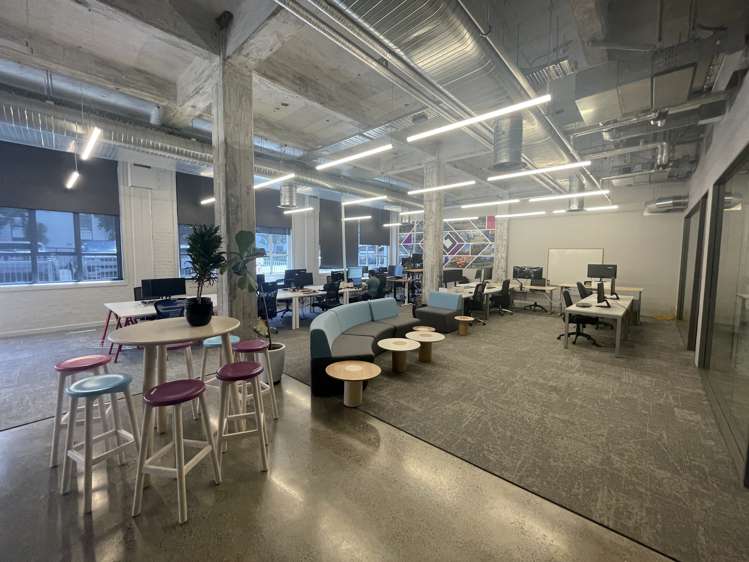 24 Balfour Road Parnell_6