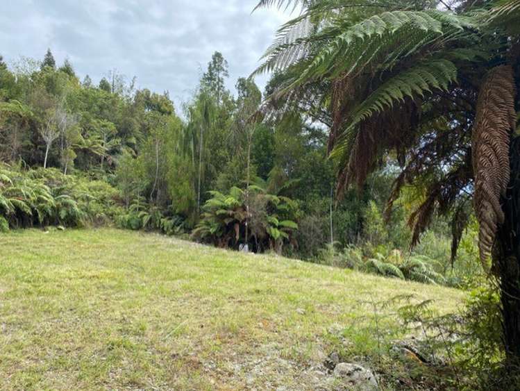 5 Mokihinui Preserve Seddonville_12