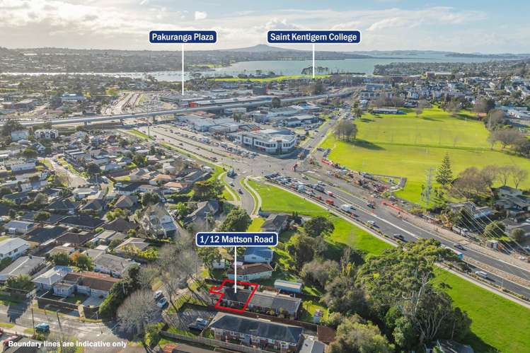 1/12 Mattson Road Pakuranga_10
