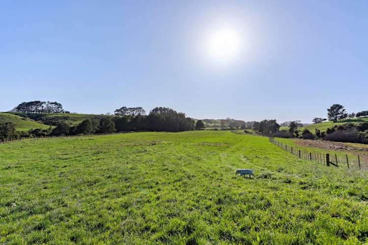 122A Creamery Road Waiuku_11