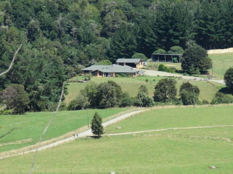 472 Maungatapu Road Rai Valley_17