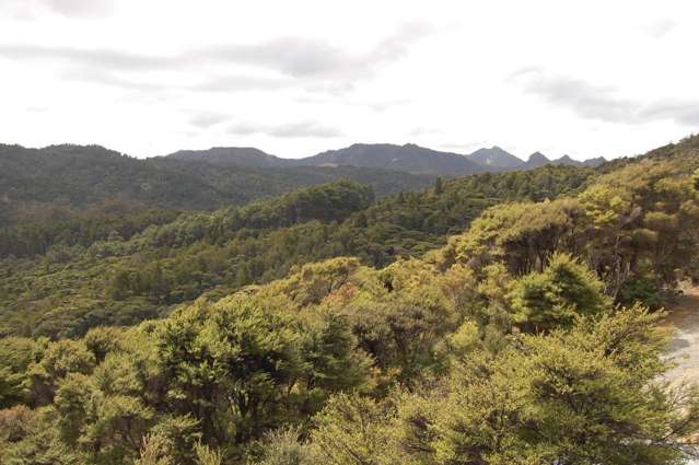 4 Harpoon Hill Great Barrier Island (Aotea Island)_3
