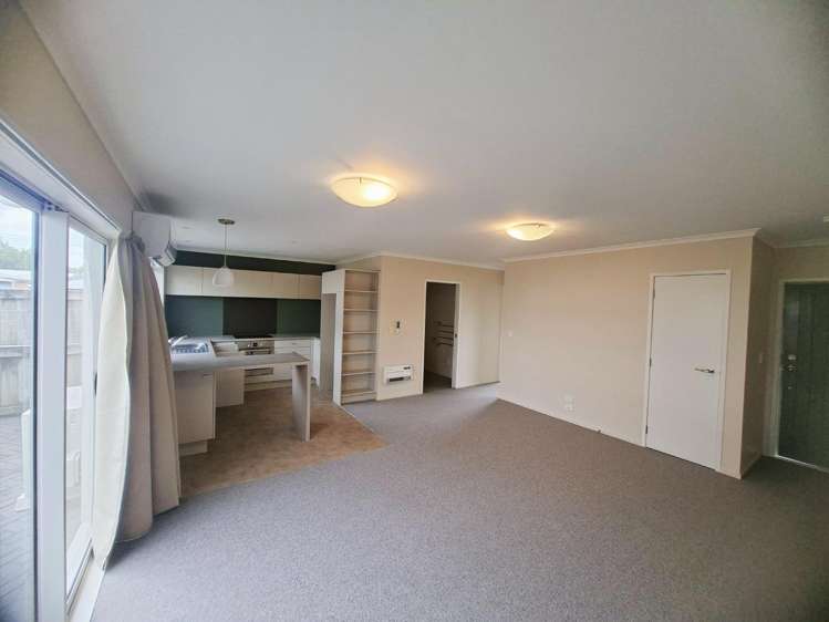 17b Maitland Road 1067_1