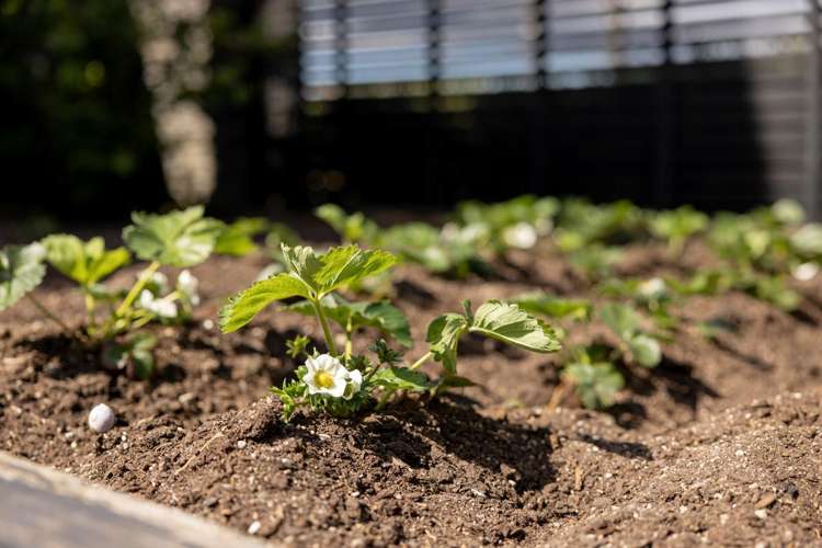 2 Brackenburn Drive Ohauiti_23