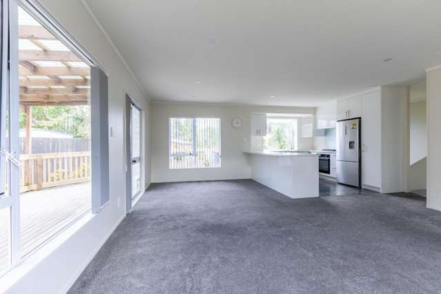 115 Athena Drive Totara Vale_2