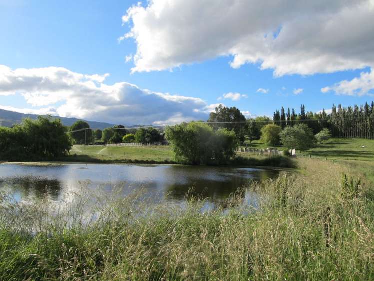 Blackman Road Alexandra_9