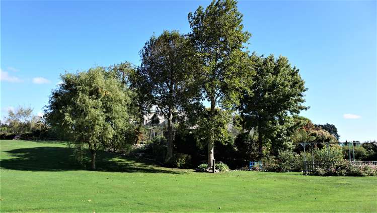 81 Denton Road Levin_17