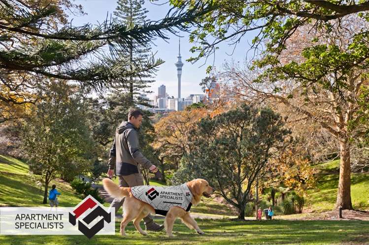 31 Scanlan Street Ponsonby_17