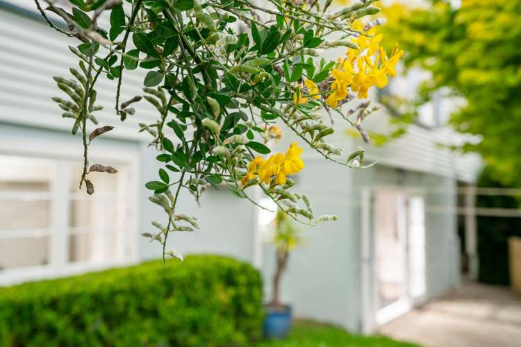 111A Karori Road Karori_22