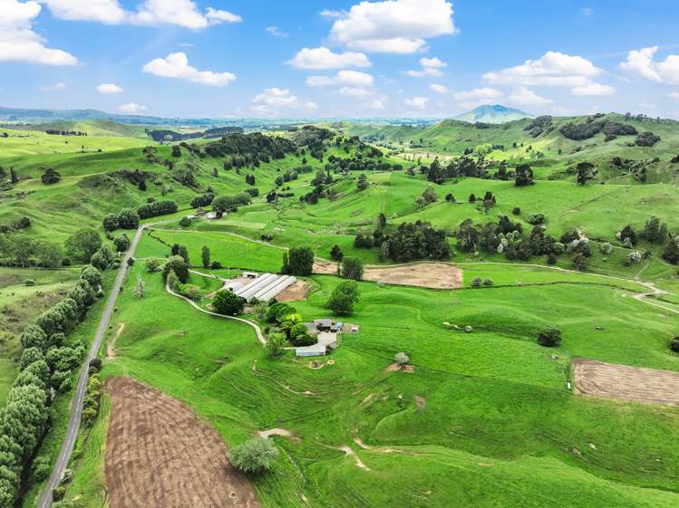 591 Turitea Road Otorohanga_28