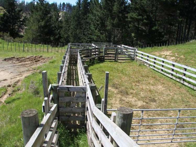 Otaraoa Road Tarata_1