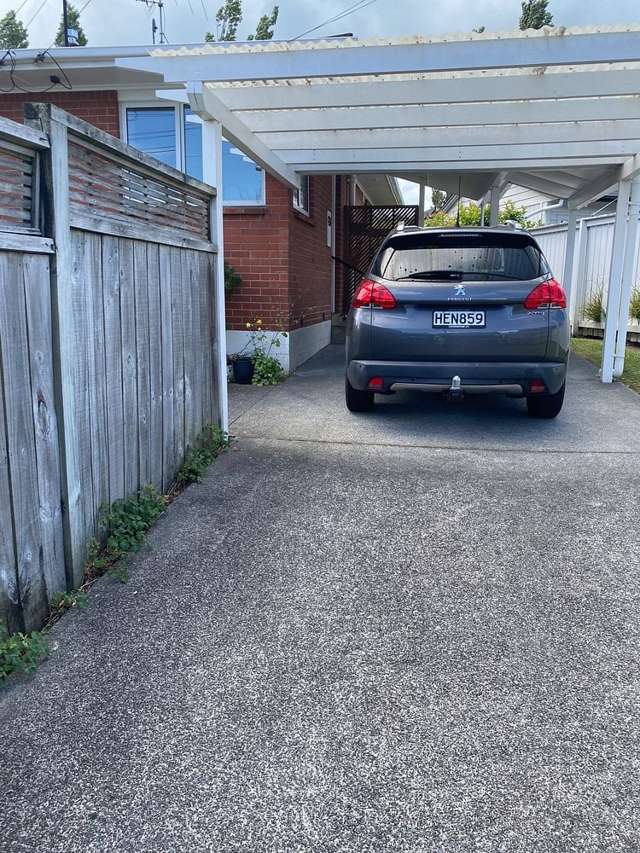 37A Sayegh Street St Heliers_4