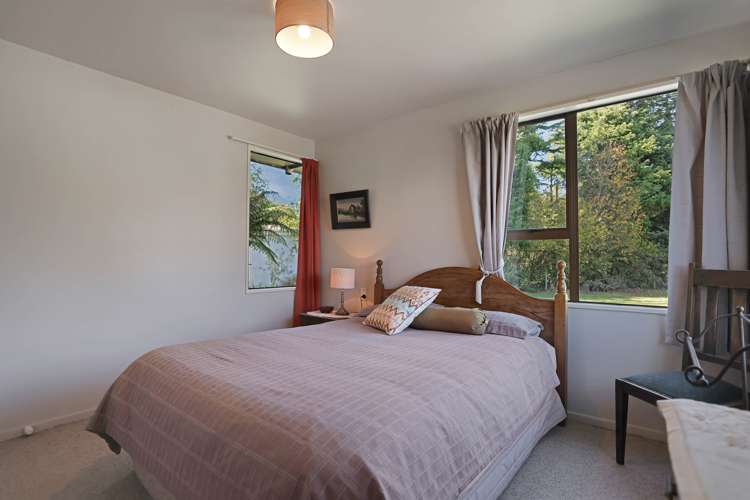 57 David Street Hinds_15