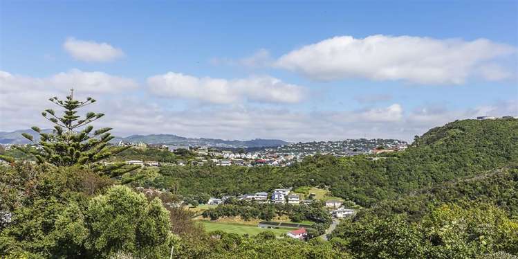 129 Nevay Road Miramar_16