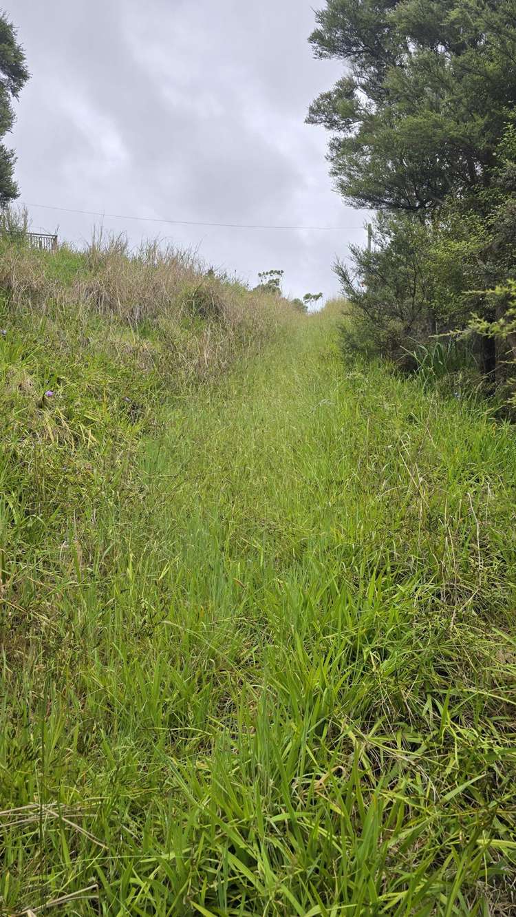540b Medland Road Great Barrier Island_13