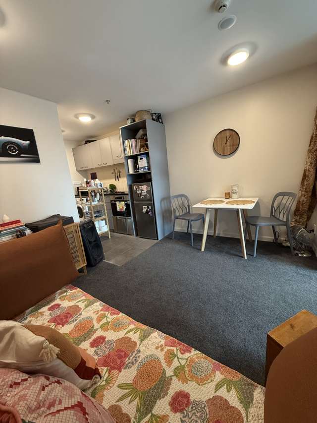 919/135 Hobson Street Auckland Central_3