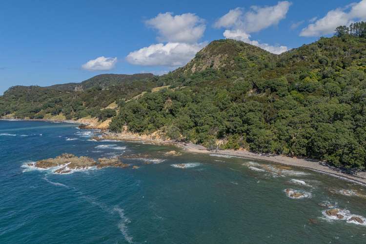 556 Boat Harbour Road Whenuakite_23