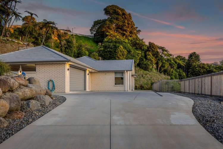 30B Sycamore Grove Lower Vogeltown_34