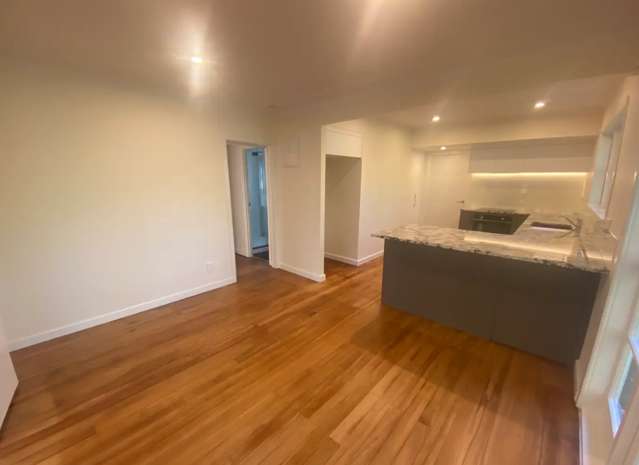 3/27 Raumati Road Remuera_4