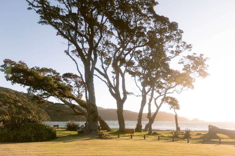 11 Mulberry Grove Road Great Barrier Island_13