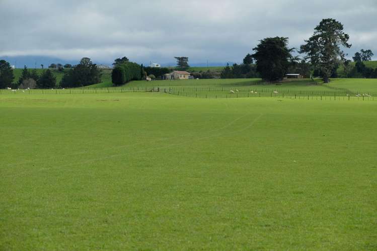 63 Hamilton Road Dannevirke_20