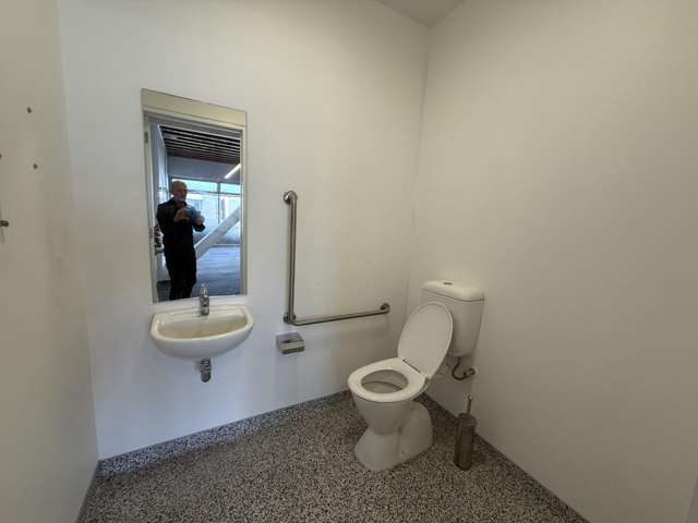 17 Maidstone Place Grey Lynn_1