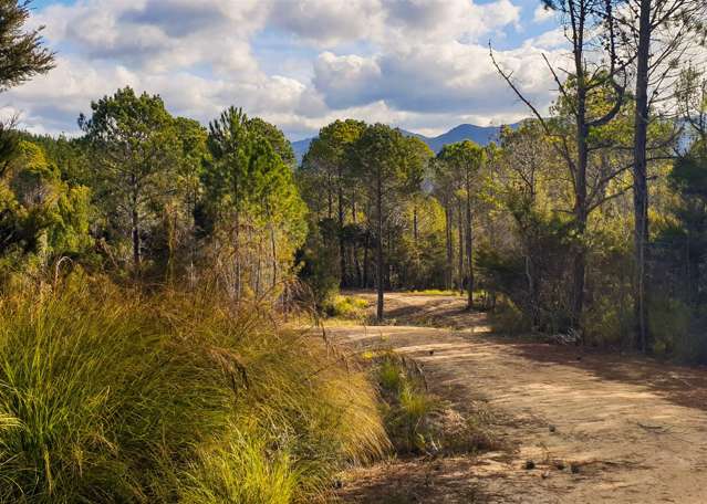 Lot 1 182 Kaiteriteri-Sandy Bay Road_4